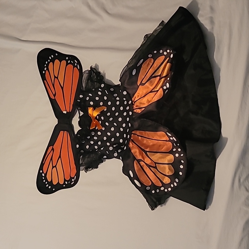 Girl's Butterfly Costume